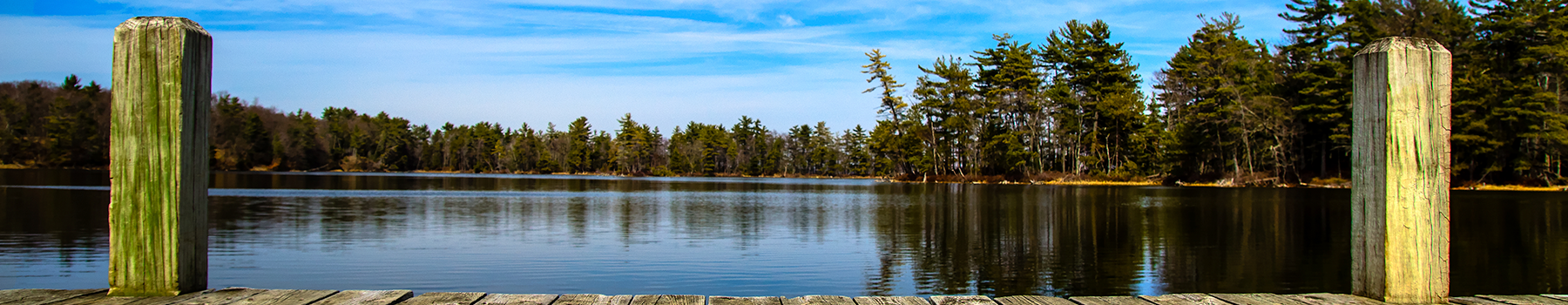 Calm lake with pine trees under a blue sky.